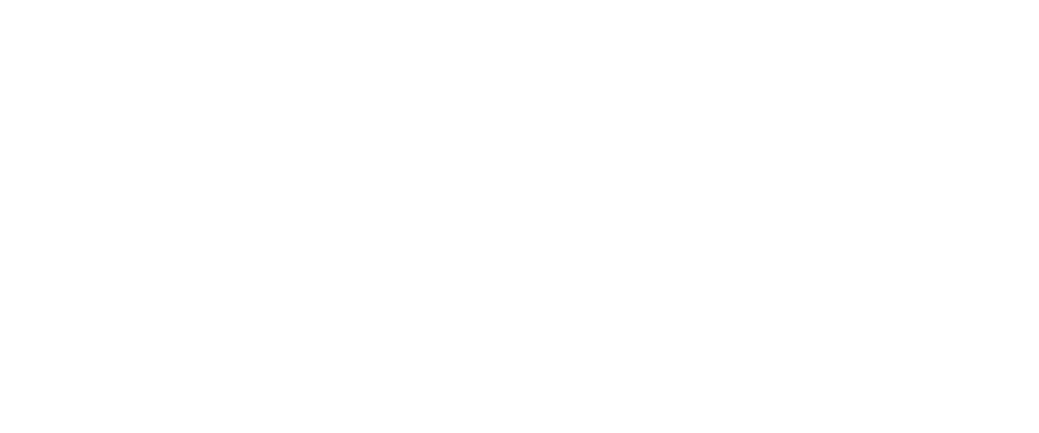 Logo Feddersen Automobile